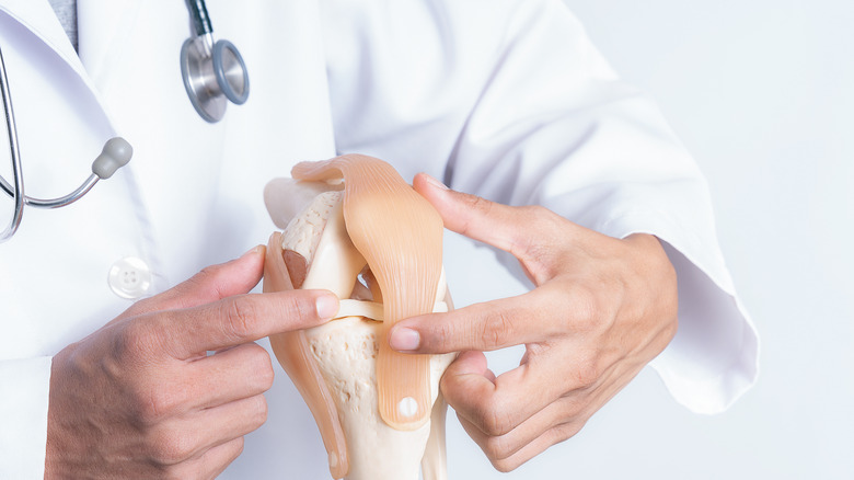 a doctor holding a bone model of a knee