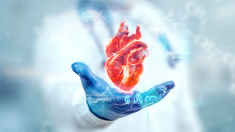 doctor holding heart hologram