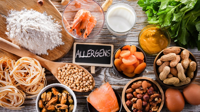 Top view of common food allergens