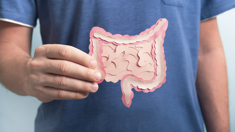man holding picture of digestive system