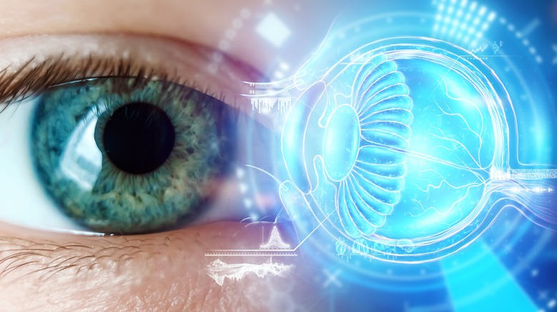 eye with hologram of eyeball