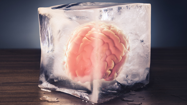 brain inside an ice cube 