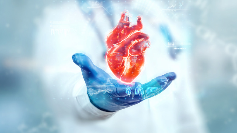 a doctor holding an illustration of a heart indicating heart health