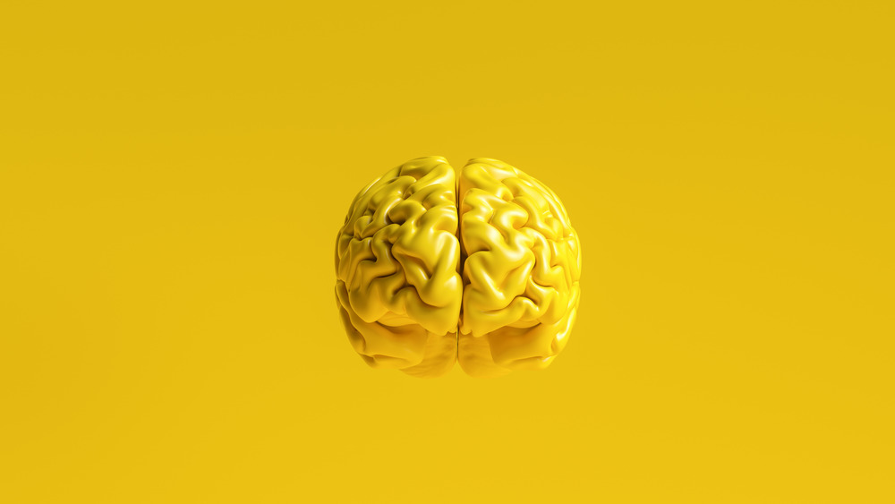 yellow brain on yellow background