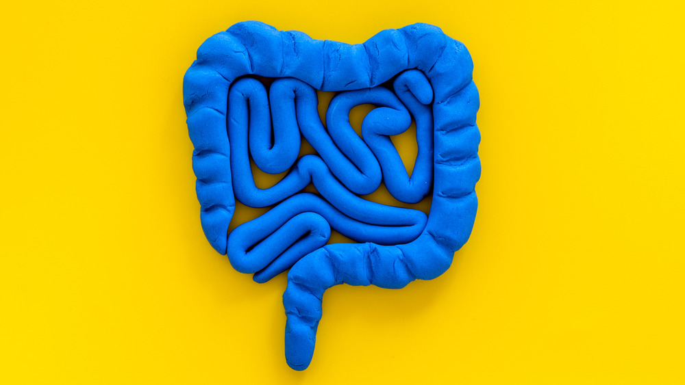 blue gut on yellow background