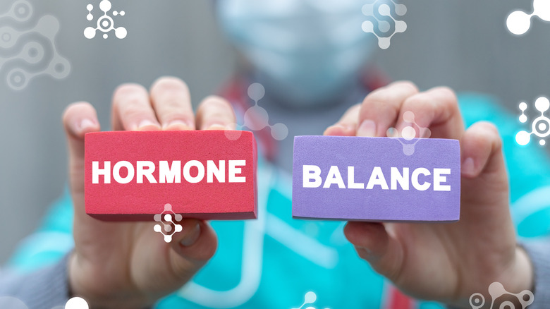 A doctor holding up the words hormone balance