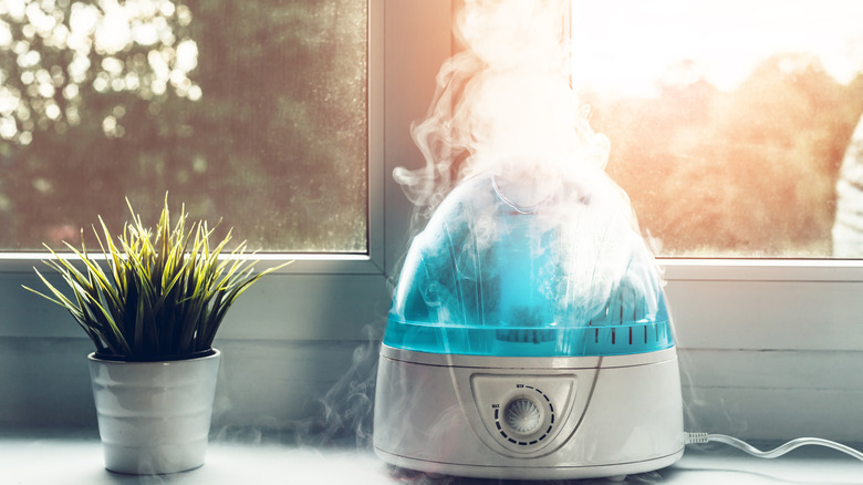 Humidifier on windowsill