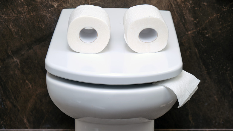 toilet made to look like a face with toilet paper eyes and tongue