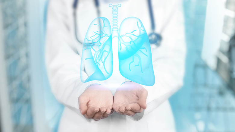 Doctor holding out hands to present image of lungs