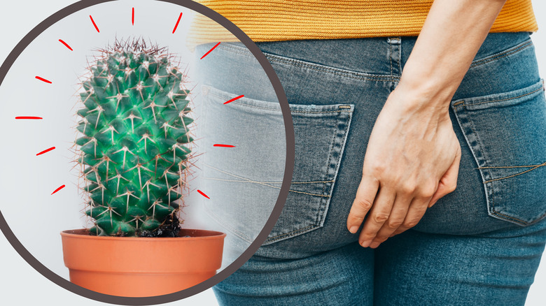 woman holding butt with cactus