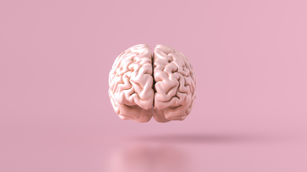 brain on pink background