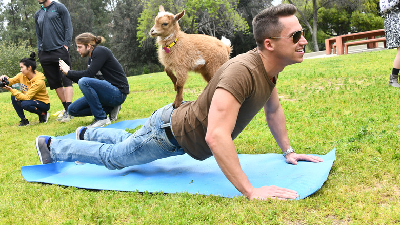 man doing yoga with goat on back
