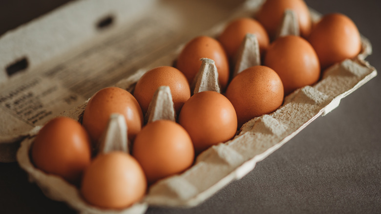 A dozen brown eggs in a carton