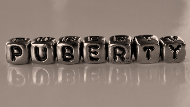 Blocks spelling out "puberty"