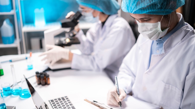 researchers working in lab