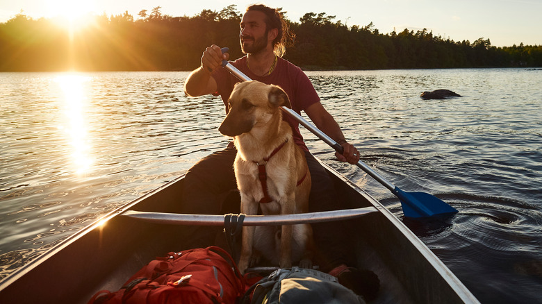 A man and a dog on a canoe