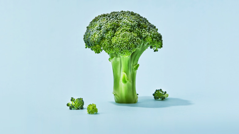 a stalk of broccoli