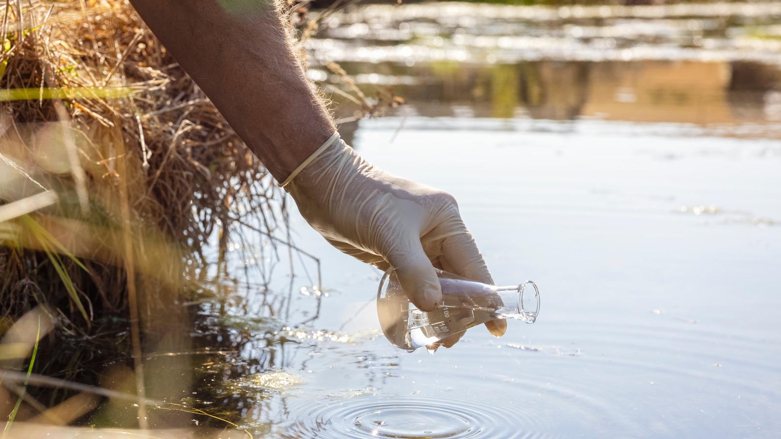 Why Experts Are Urging Doctors To Test Some Patients For Dangerous PFAS ...