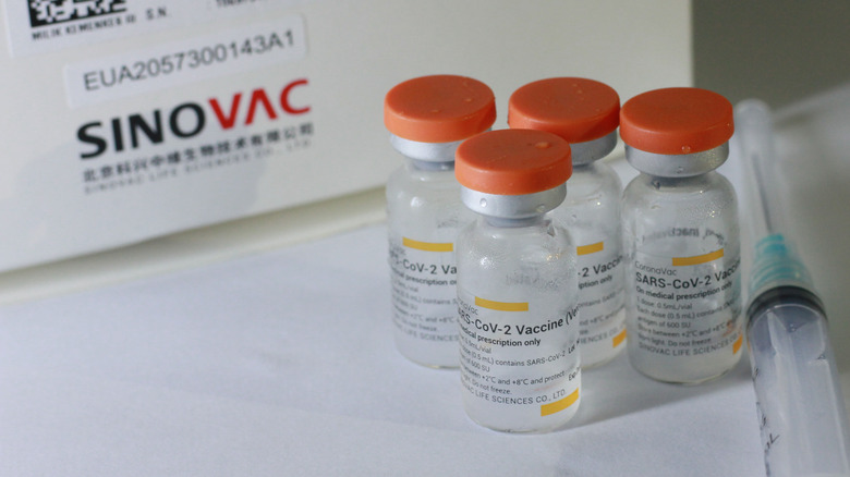 Vials of Sinovac COVID-19 vaccine