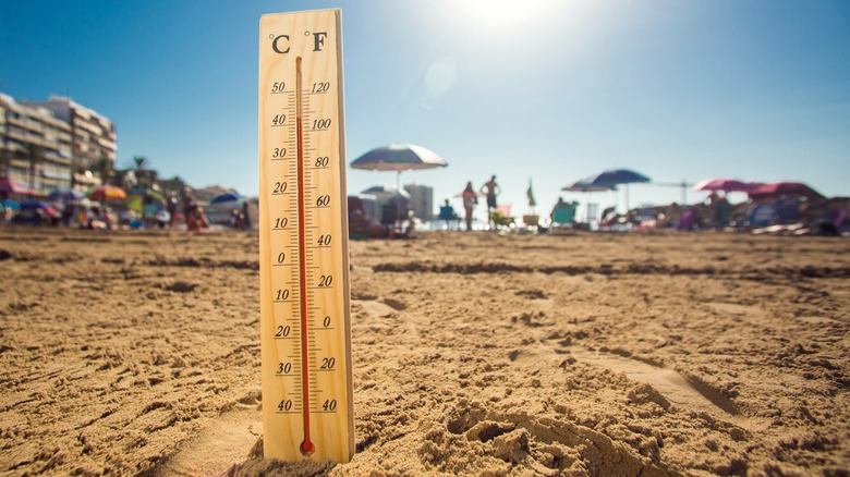 thermometer planted in the sand on a beach