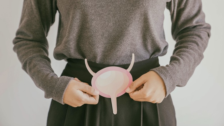 woman holding bladder diagram