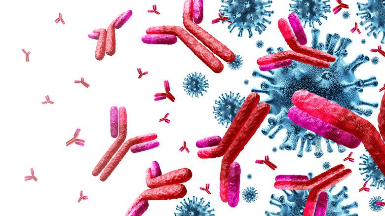 antibodies attacking virus cells