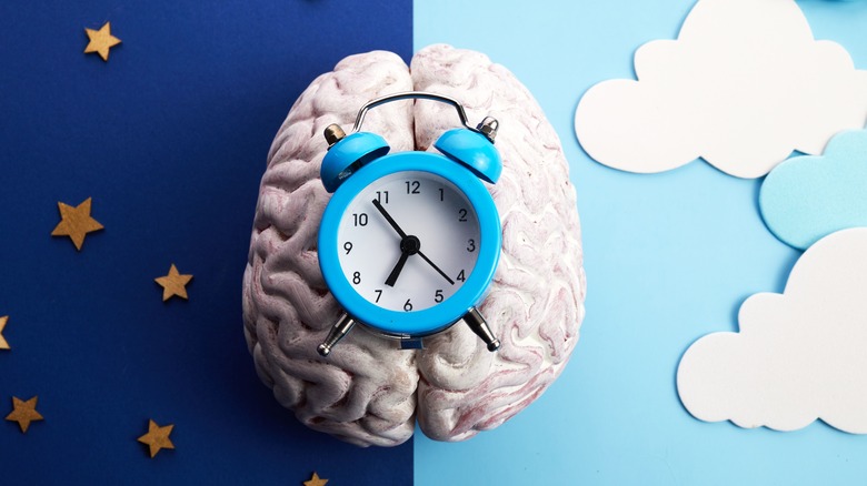 conceptual image of the brain with night and day indicating body clock