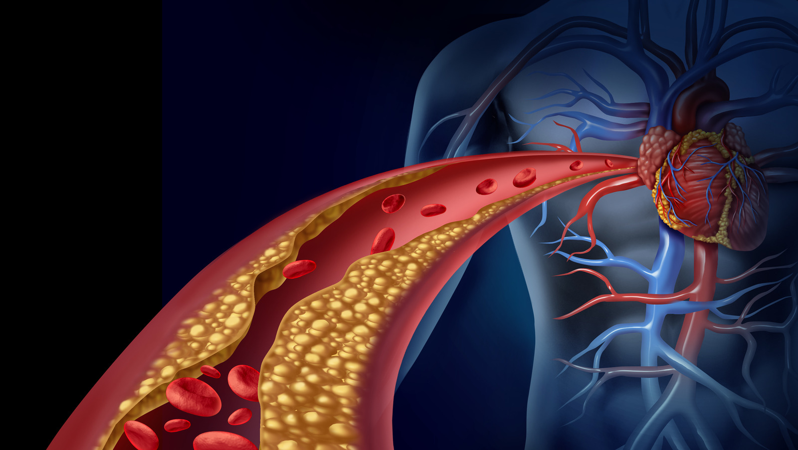 What Is The Other Name Of Good Cholesterol