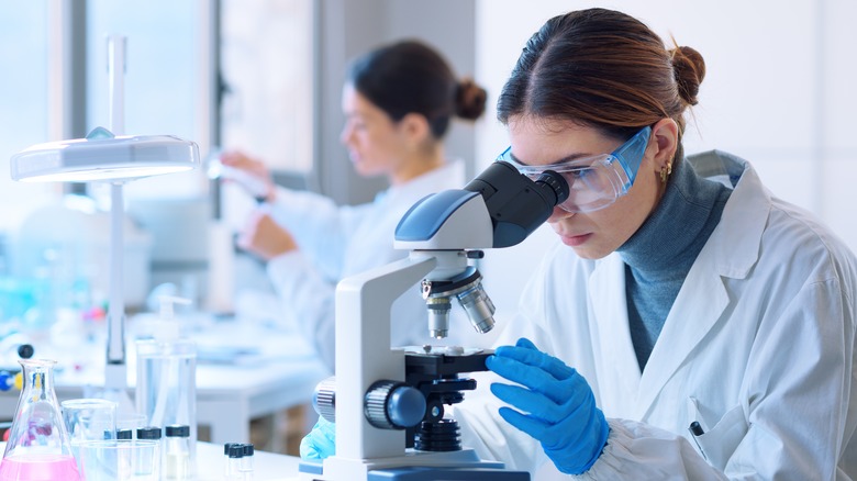 Female scientist studying samples in a microscope