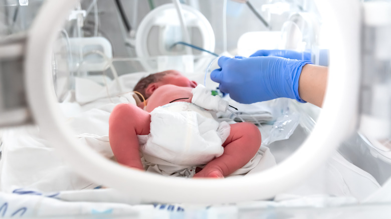 Premature baby in incubator