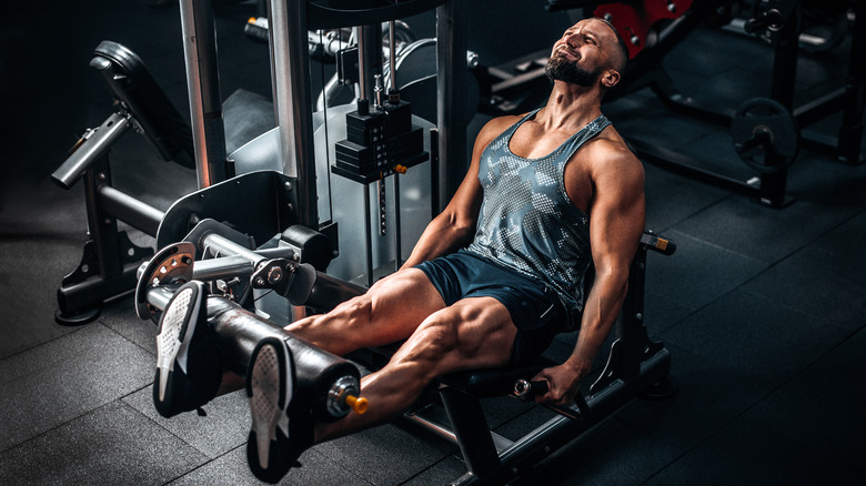 muscular man using weights at the gym