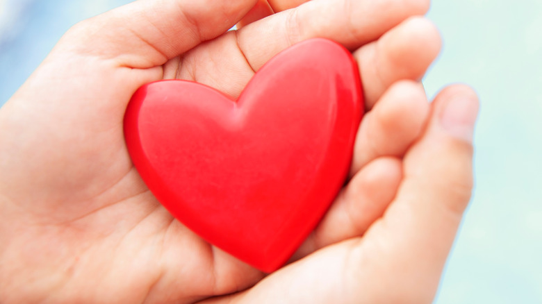 person holding heart model