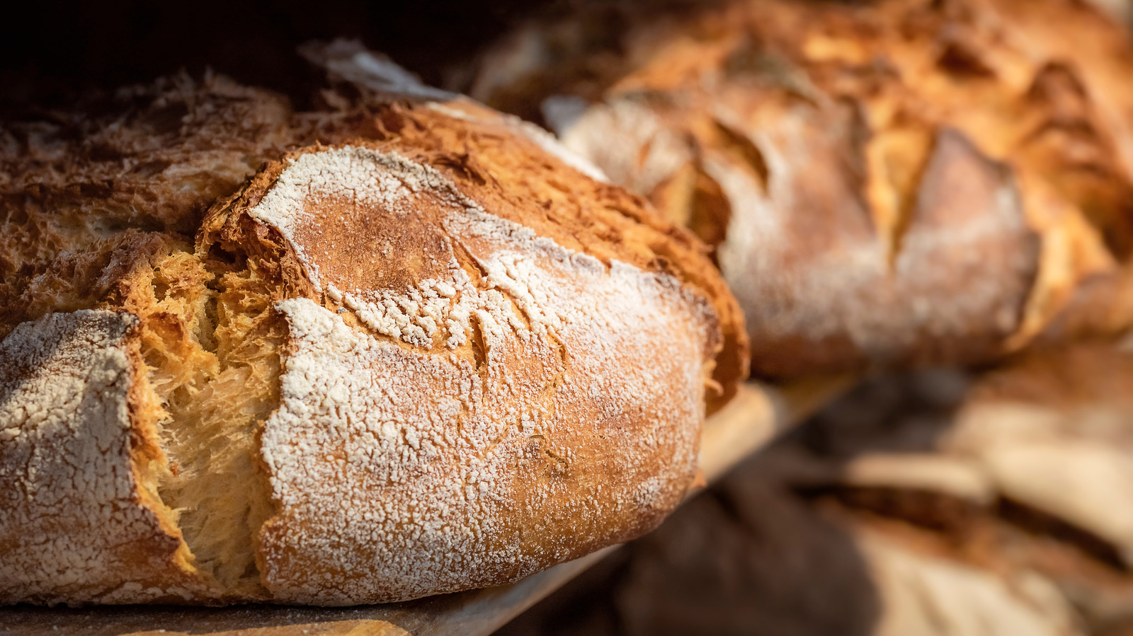 Which Is Healthier Sourdough Or Wheat Bread