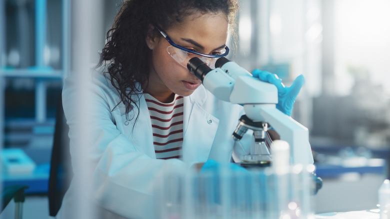 scientist studying petri dish under microscope