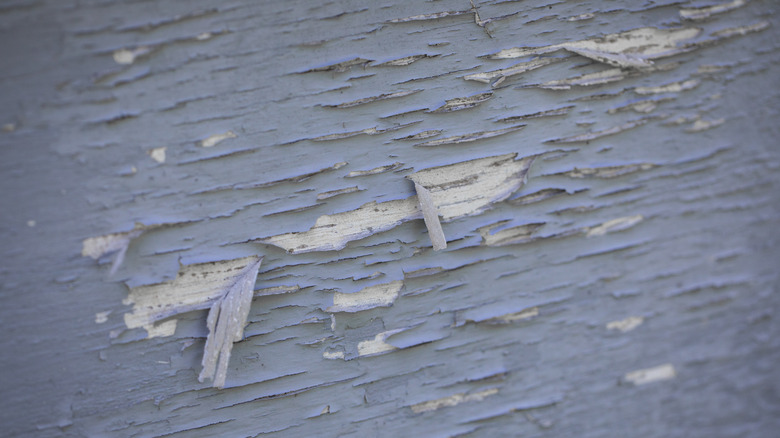 old and flaking lead-based paint 