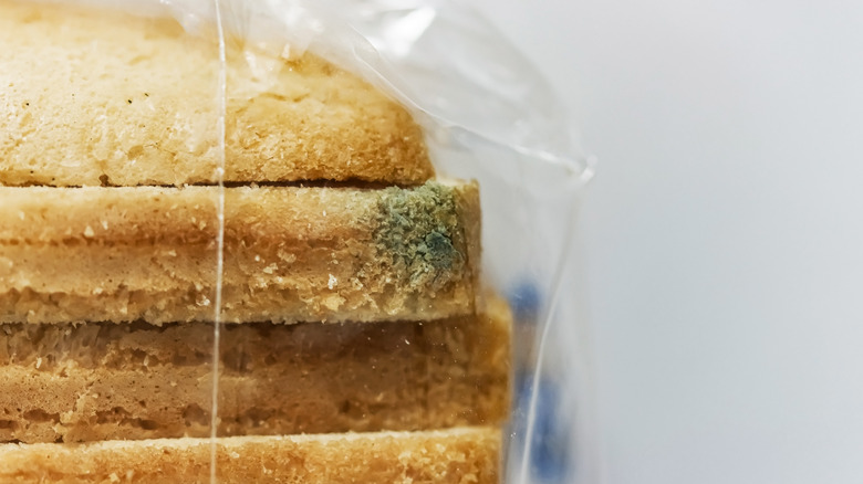 slices of moldy bread in a bag