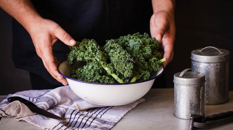 Hands holding bowl of kale
