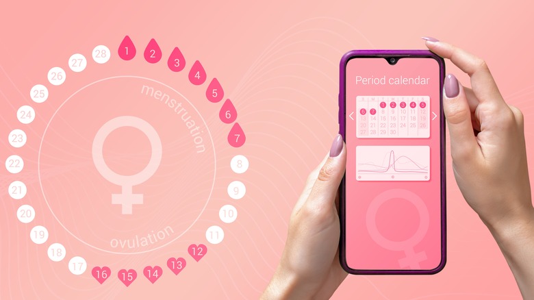 phone app depicting menstrual cycle