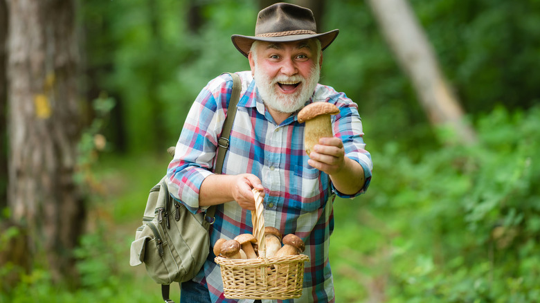 older man in the forest holding a basket of mushrooms