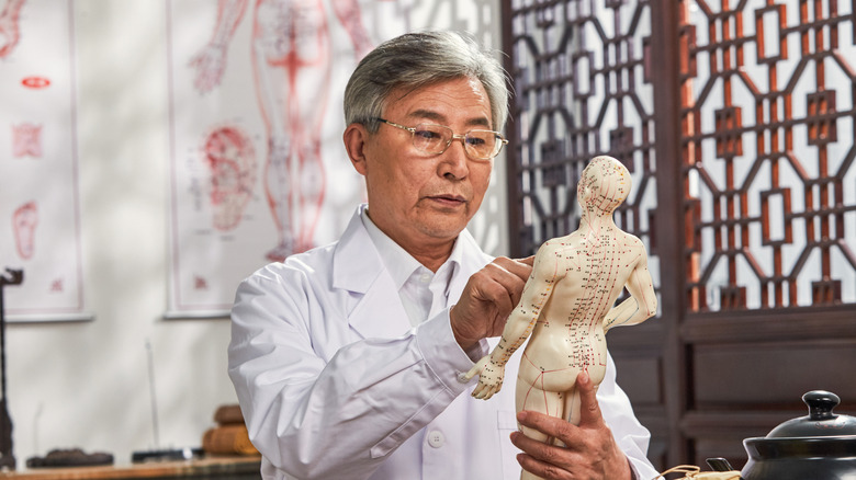 Older man studying acupuncture mannequin