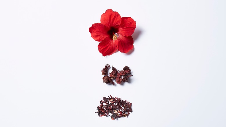  Fresh and dried hibiscus flowers