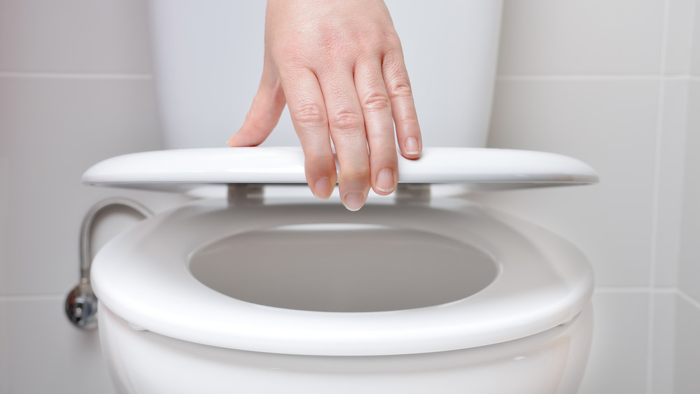 Person closing toilet lid