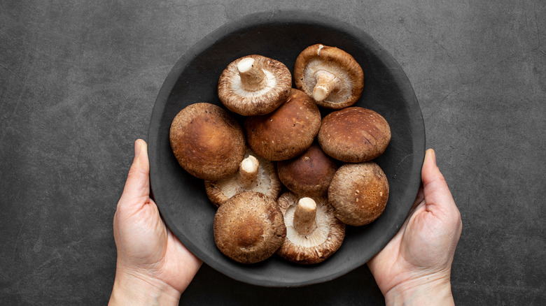 a bowl of shiitake mushrooms