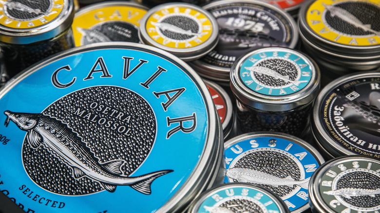 scattered caviar tins