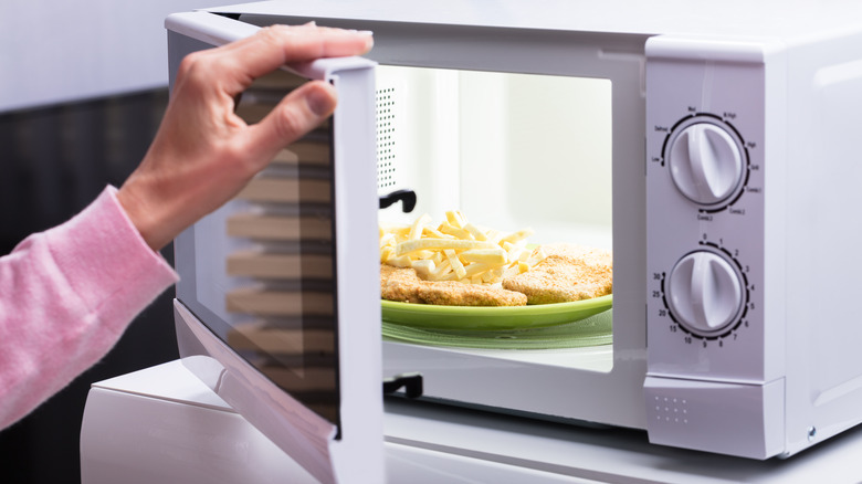 Fries and meat in microwave