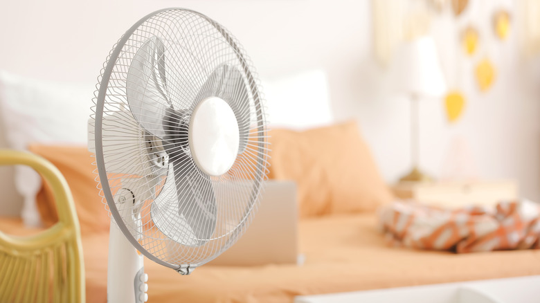 Fan in the bedroom