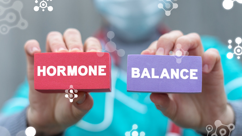 Concept of hormone balance written in red and purple blocks