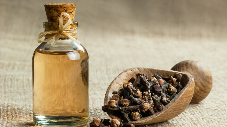 Clove oil and scoop of cloves