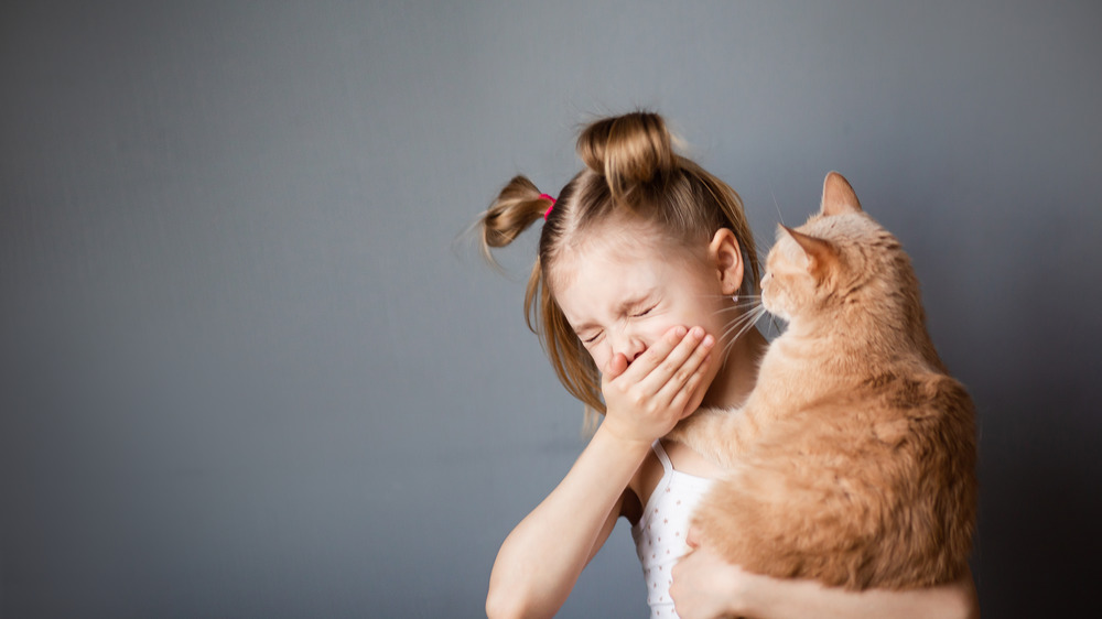 girl holds cat and sneezes