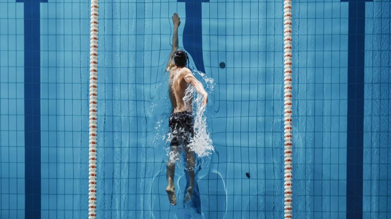 Aerial view of a man swimming laps in a pool